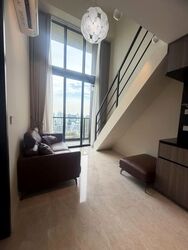 Irwell Hill Residences (D9), Apartment #600577711